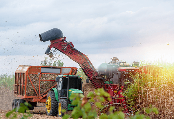 A nova era do diesel brasileiro