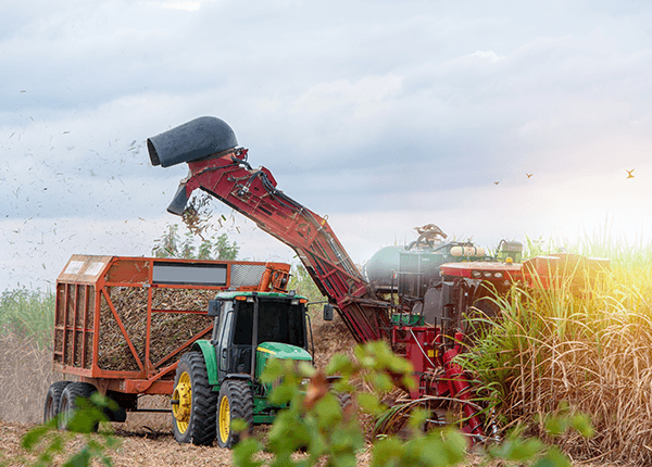 A nova era do diesel brasileiro